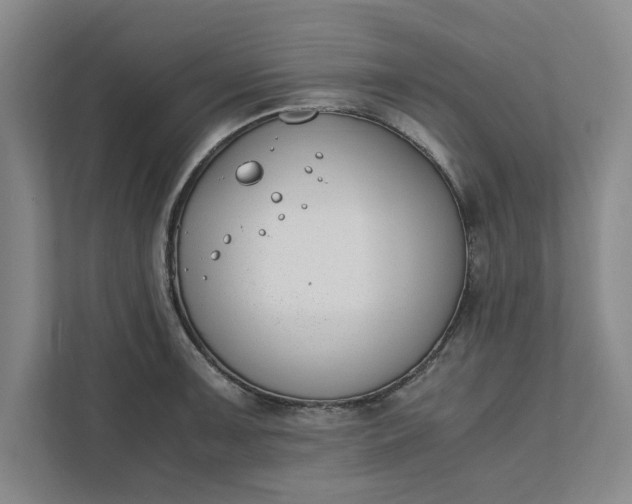 X0000111881091200908061309