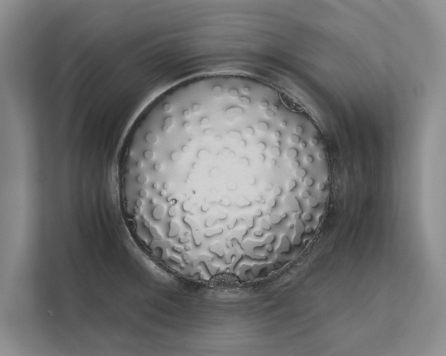 X0000111881092200908061309