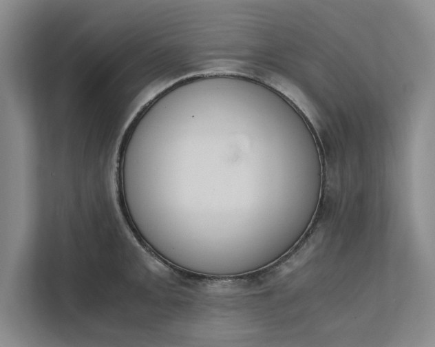 X0000111881093200908061309