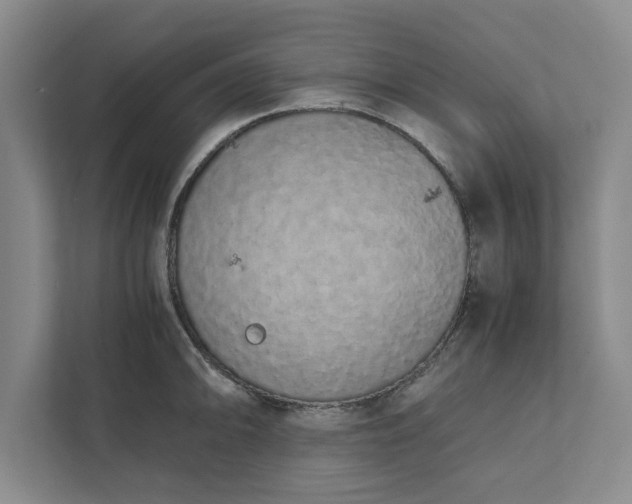 X0000111881094200908061309