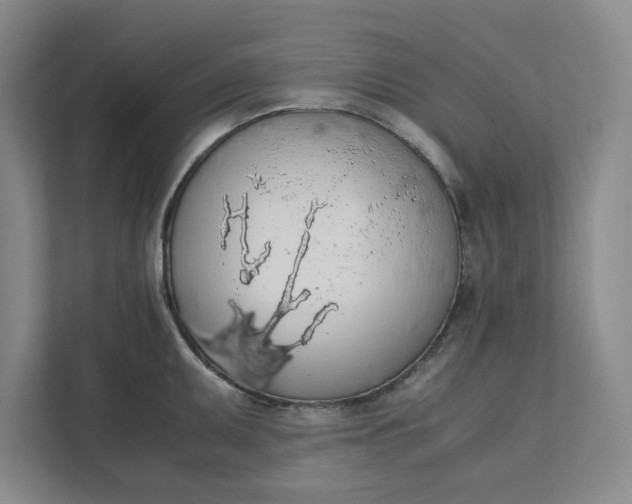 X0000111881095200908061309