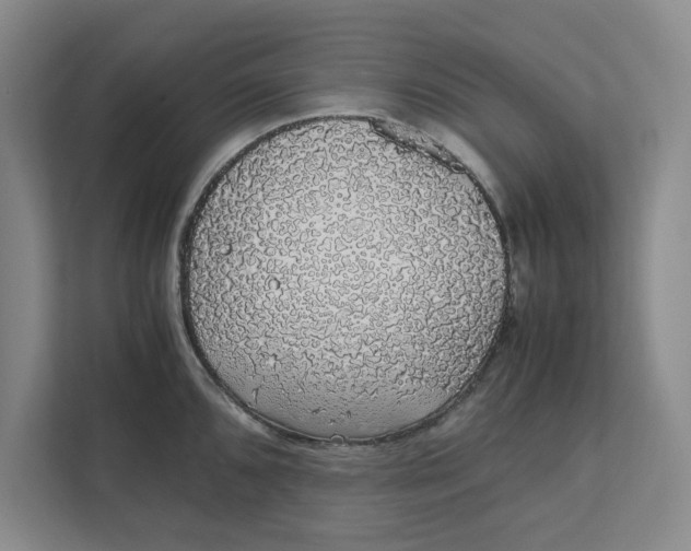 X0000111881096200908061309