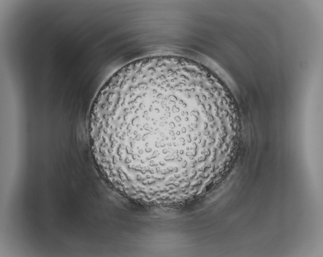 X0000111881097200908061309