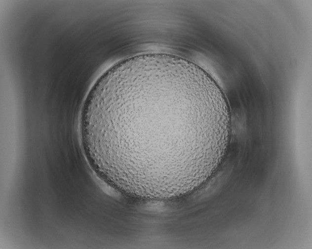 X0000111881098200908061309