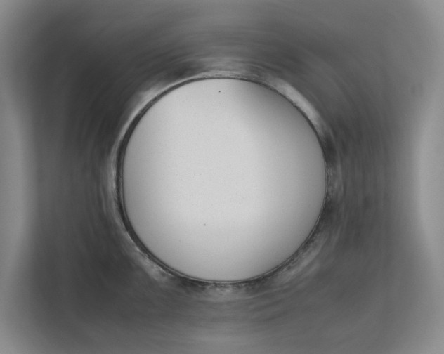 X0000111881099200908061309