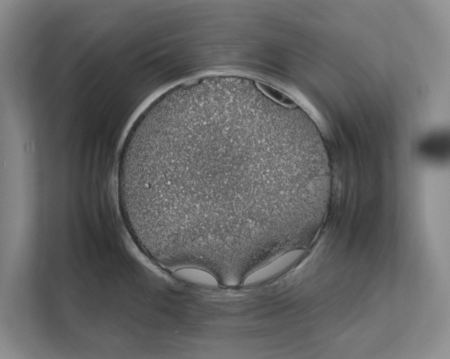 X0000111881100200908061309