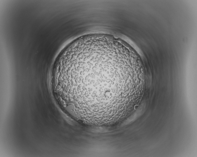 X0000111881101200908061309