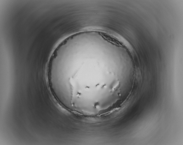 X0000111881102200908061309