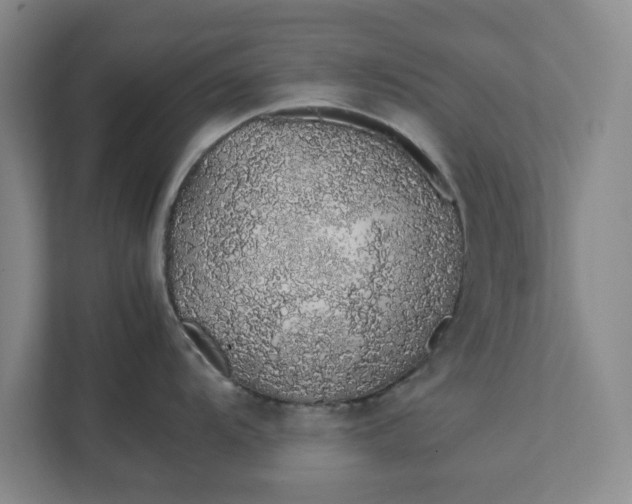 X0000111881104200908061309