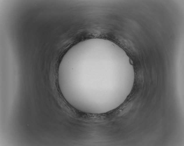 X0000111881105200908061308