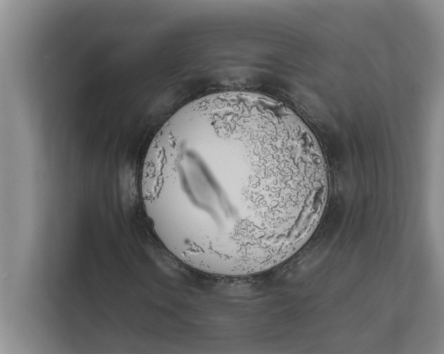 X0000111881106200908061308