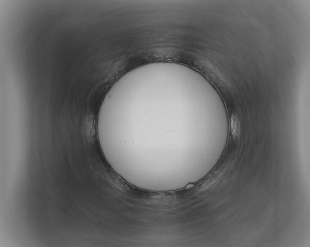 X0000111881107200908061308