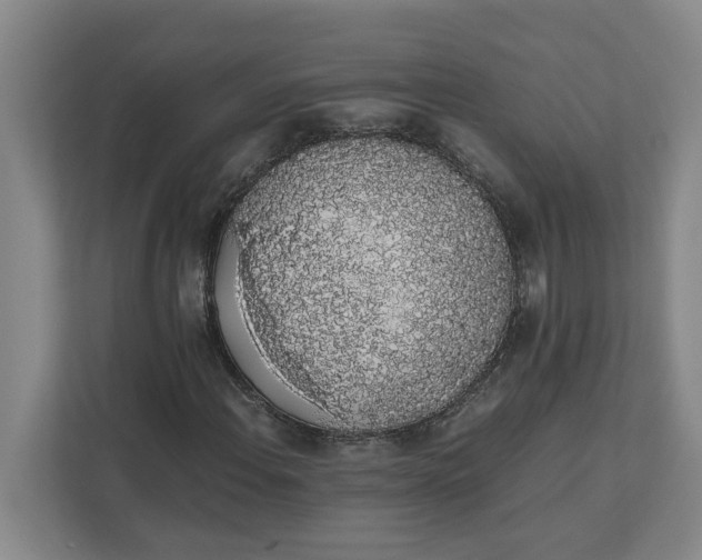 X0000111881108200908061308