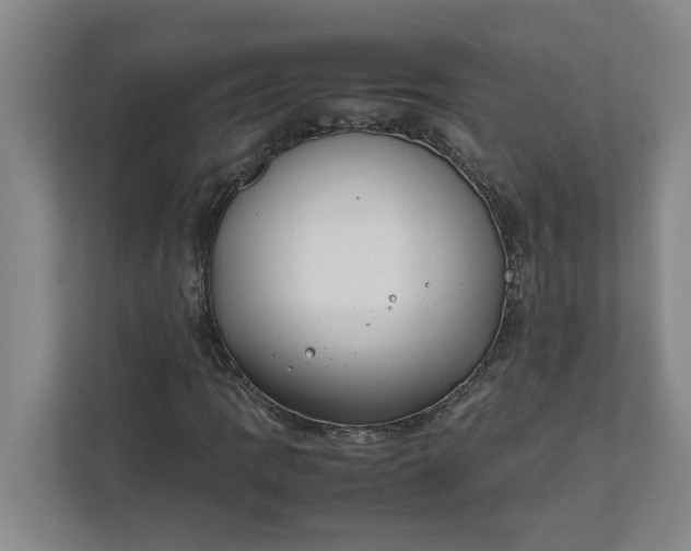 X0000111881109200908061308