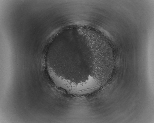 X0000111881110200908061308