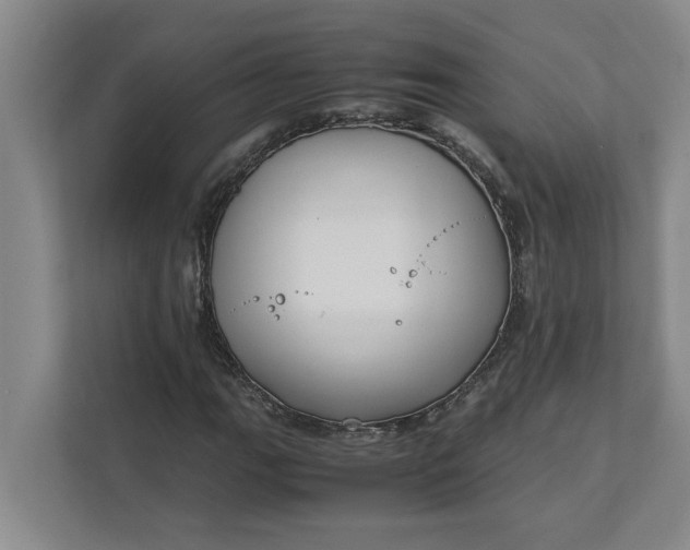 X0000111881111200908061308