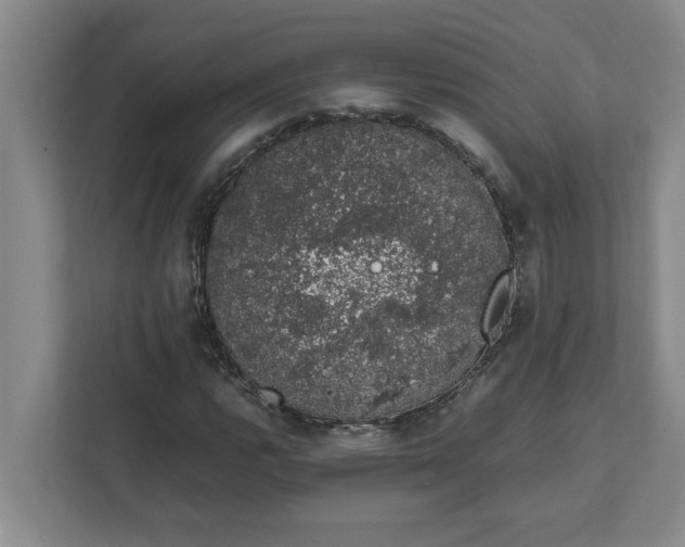 X0000111881112200908061308