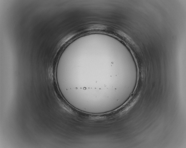 X0000111881113200908061308