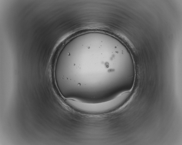 X0000111881114200908061308