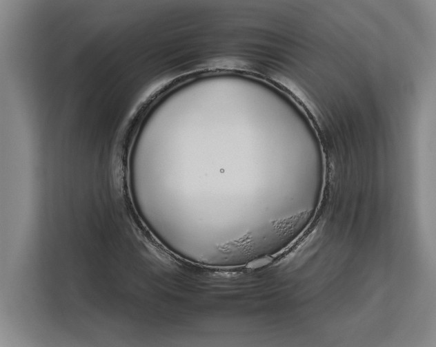 X0000111881115200908061308