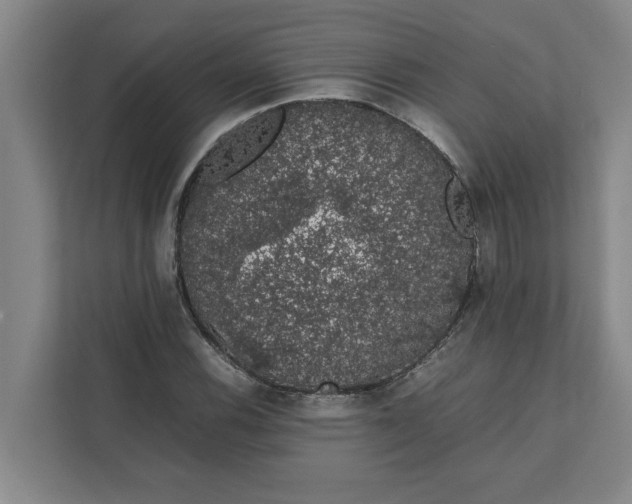 X0000111881116200908061308