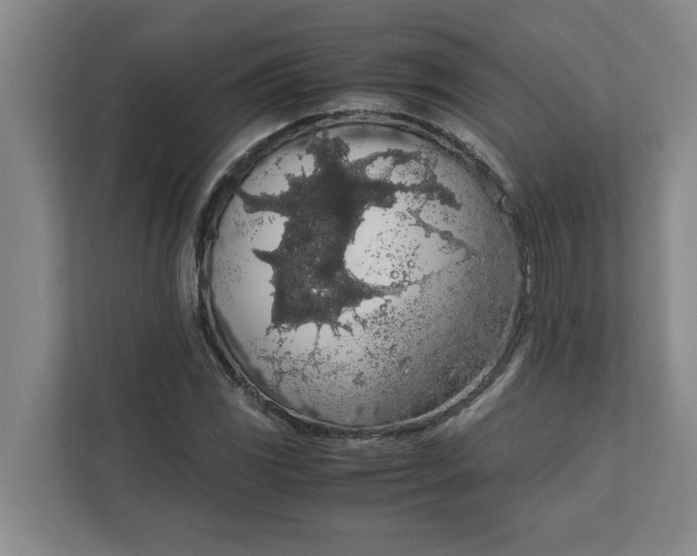 X0000111881117200908061308