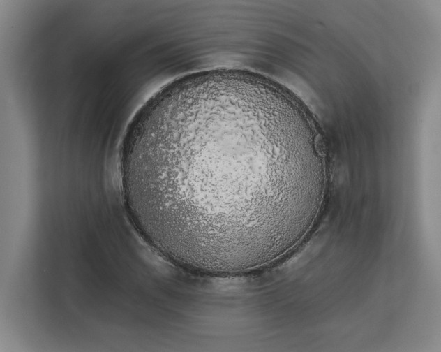 X0000111881118200908061308