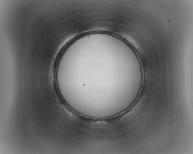 X0000111881119200908061308