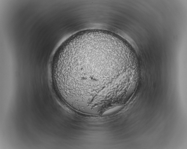 X0000111881120200908061308