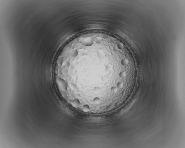 X0000111881121200908061308