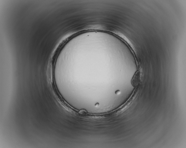 X0000111881123200908061308