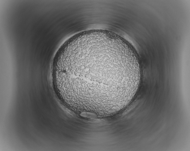 X0000111881124200908061308