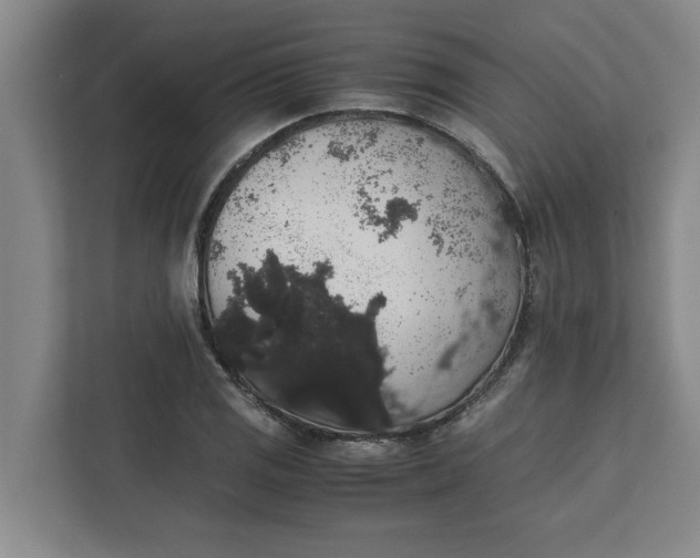 X0000111881125200908061308