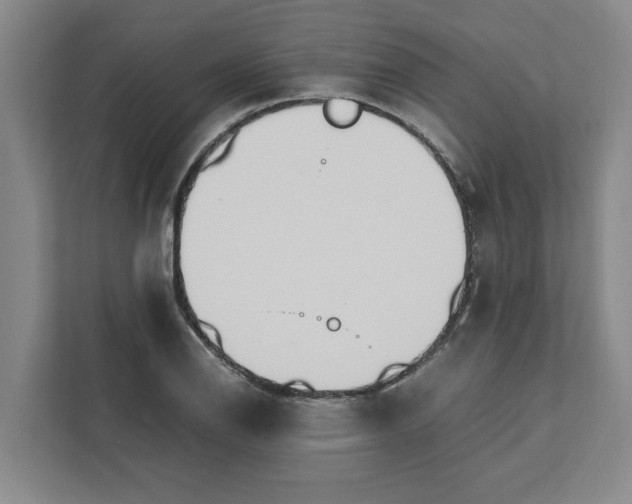 X0000111881126200908061308