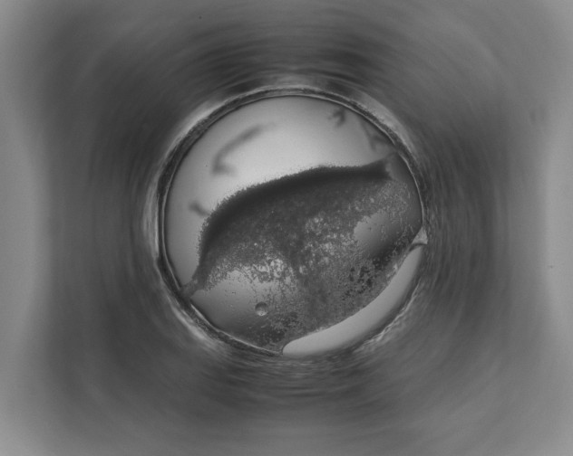 X0000111881127200908061308