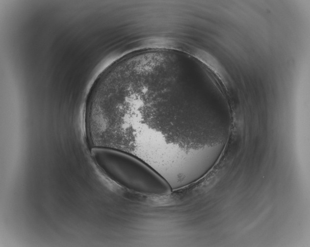 X0000111881128200908061308