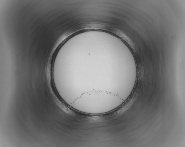 X0000111881130200908061308