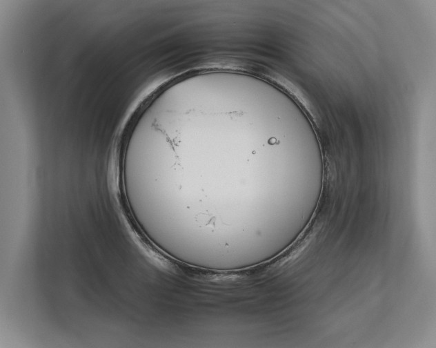 X0000111881131200908061308