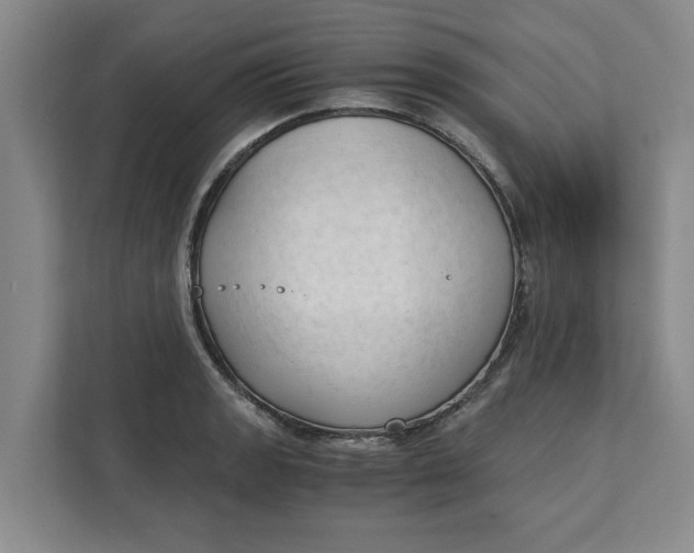 X0000111881133200908061308