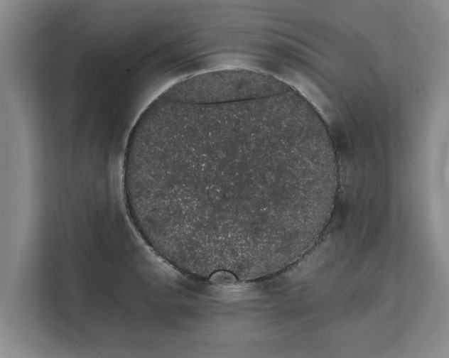 X0000111881134200908061308