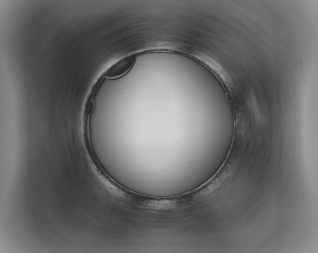 X0000111881135200908061308