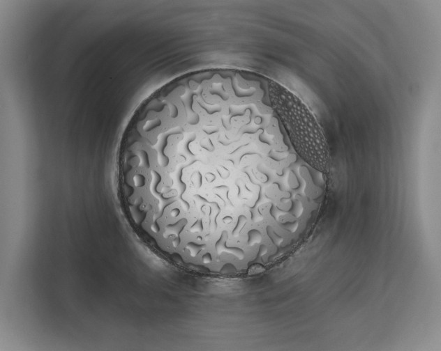 X0000111881136200908061308