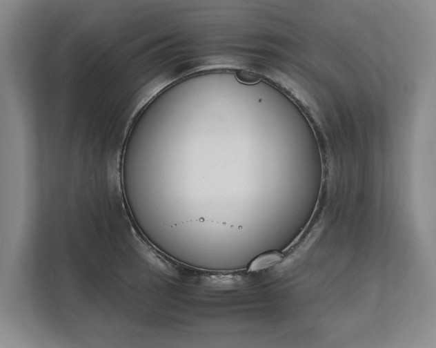 X0000111881137200908061309