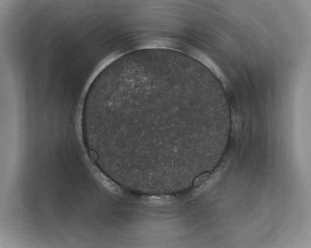 X0000111881138200908061309