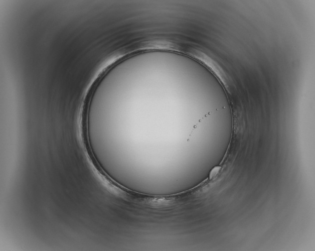 X0000111881139200908061309