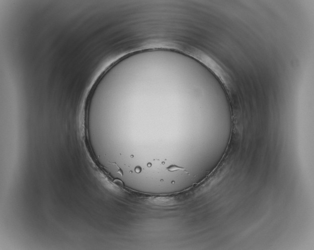 X0000111881140200908061309