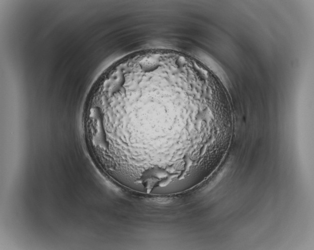 X0000111881141200908061309