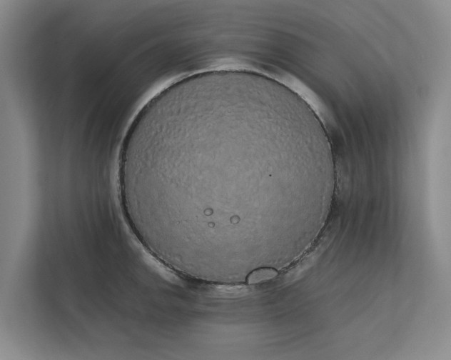 X0000111881142200908061309