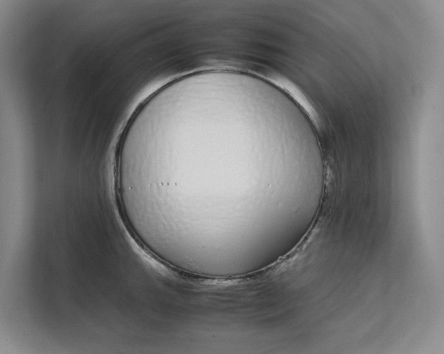 X0000111881143200908061309