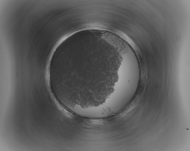 X0000111881144200908061309